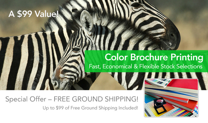 Brochure Printing Brochure Printing